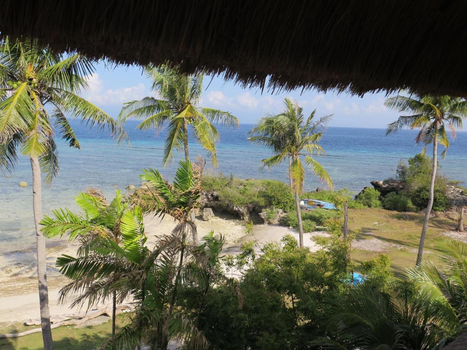 The Wild Orchid Resort - Moalboal Exterior foto