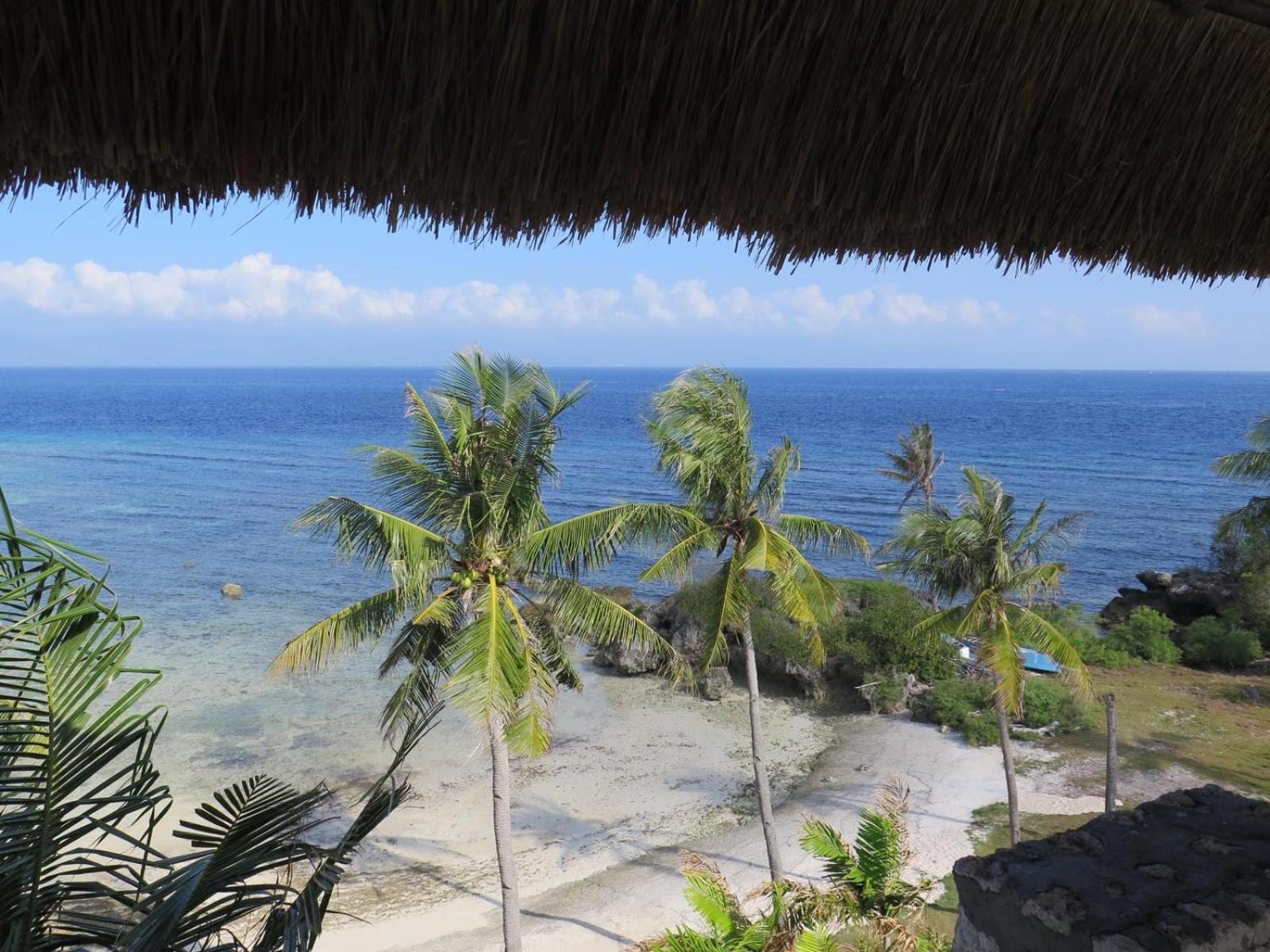 The Wild Orchid Resort - Moalboal Exterior foto