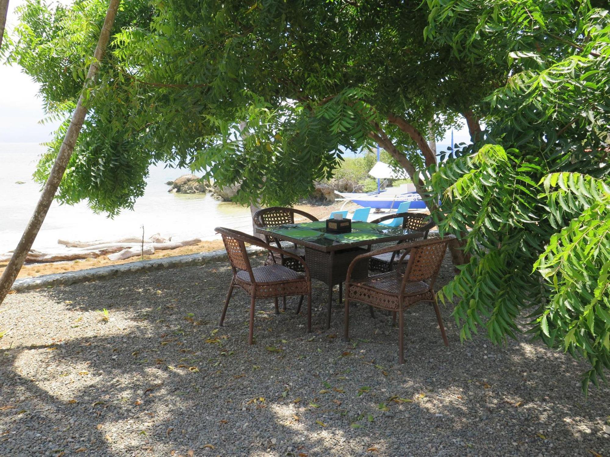 The Wild Orchid Resort - Moalboal Exterior foto