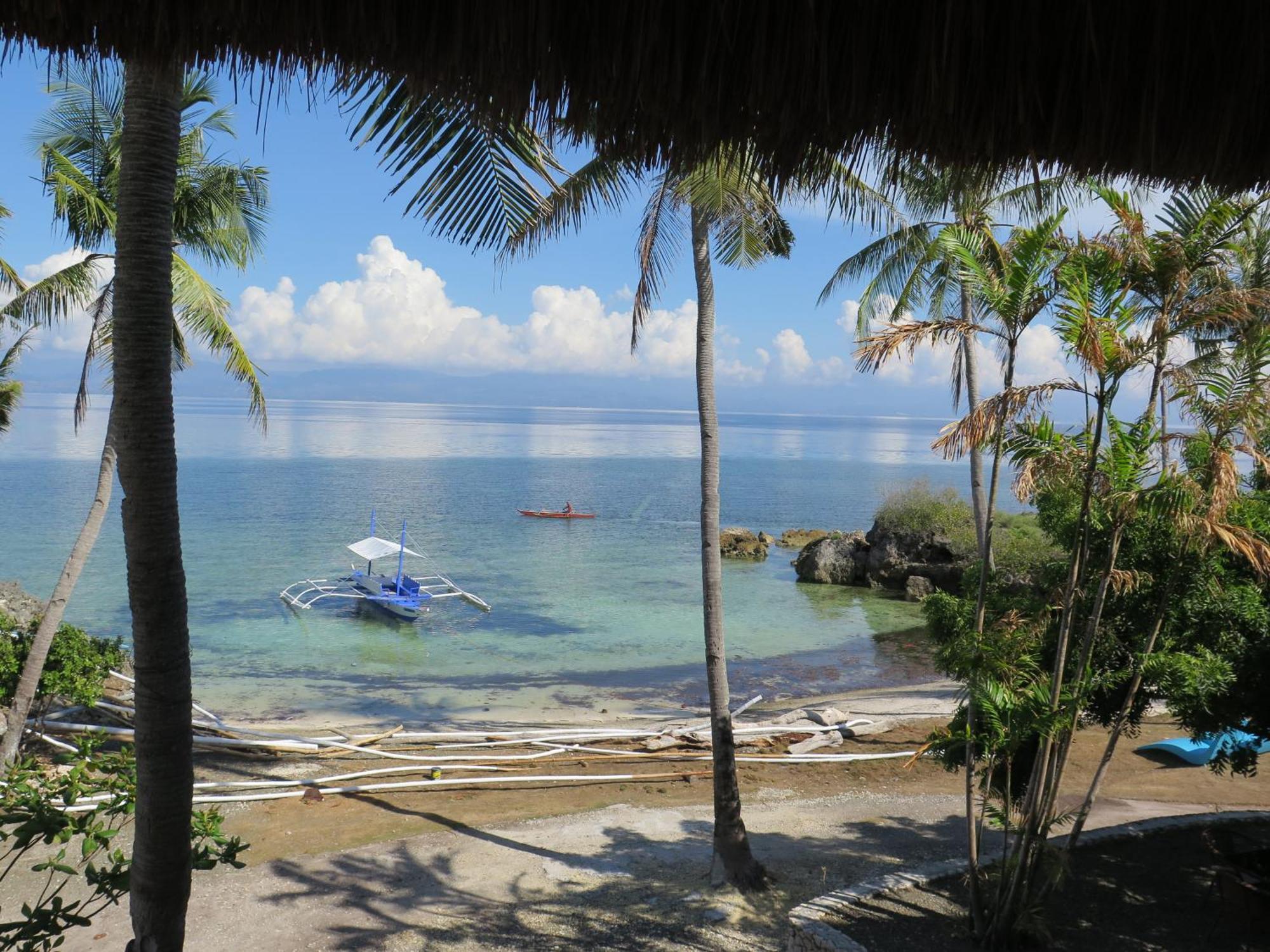 The Wild Orchid Resort - Moalboal Exterior foto