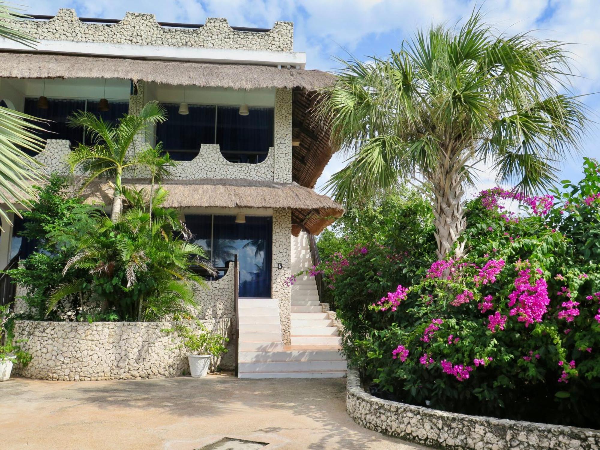 The Wild Orchid Resort - Moalboal Exterior foto