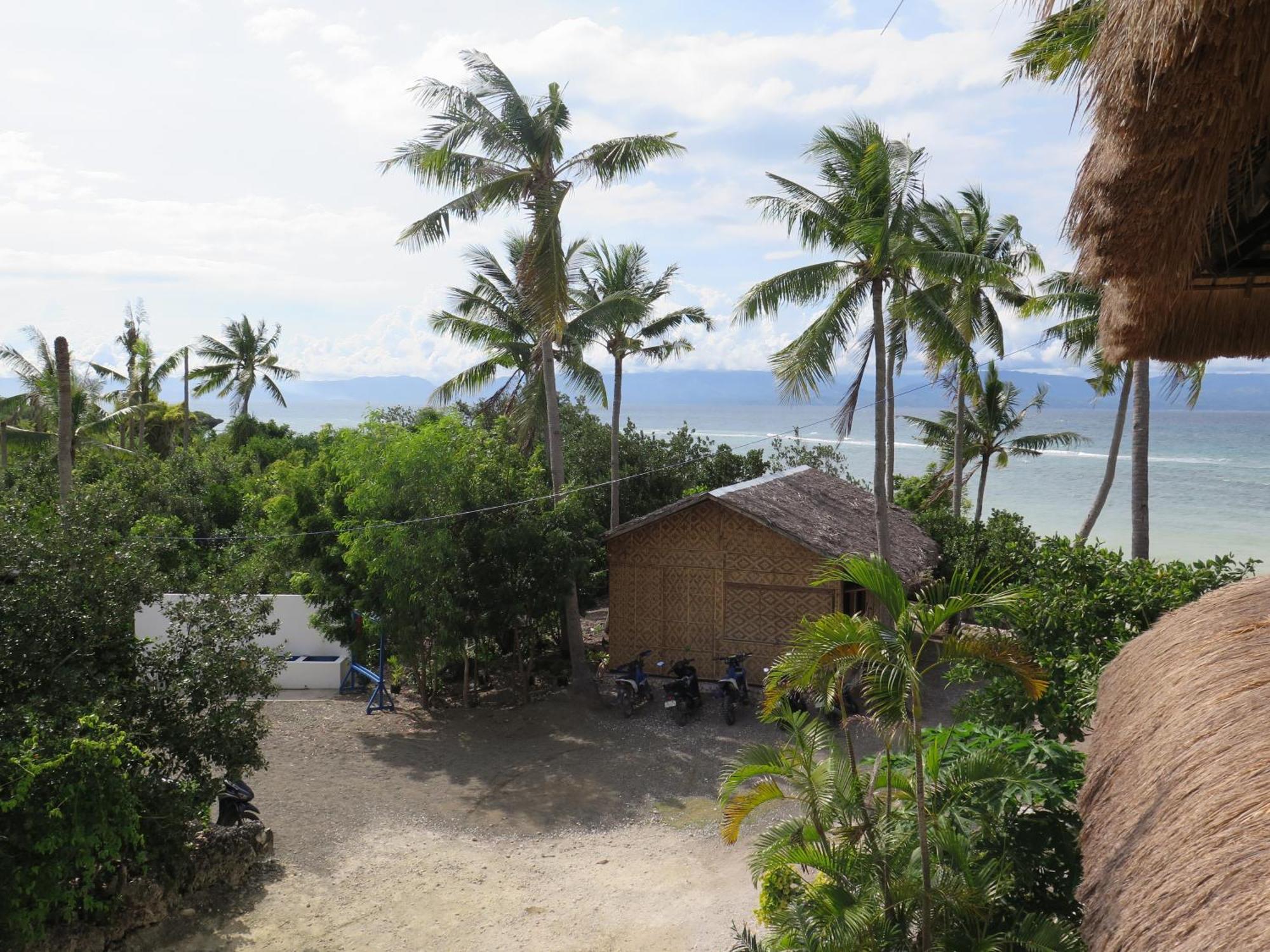 The Wild Orchid Resort - Moalboal Exterior foto